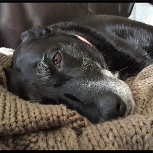 Meet your Posher, Monica